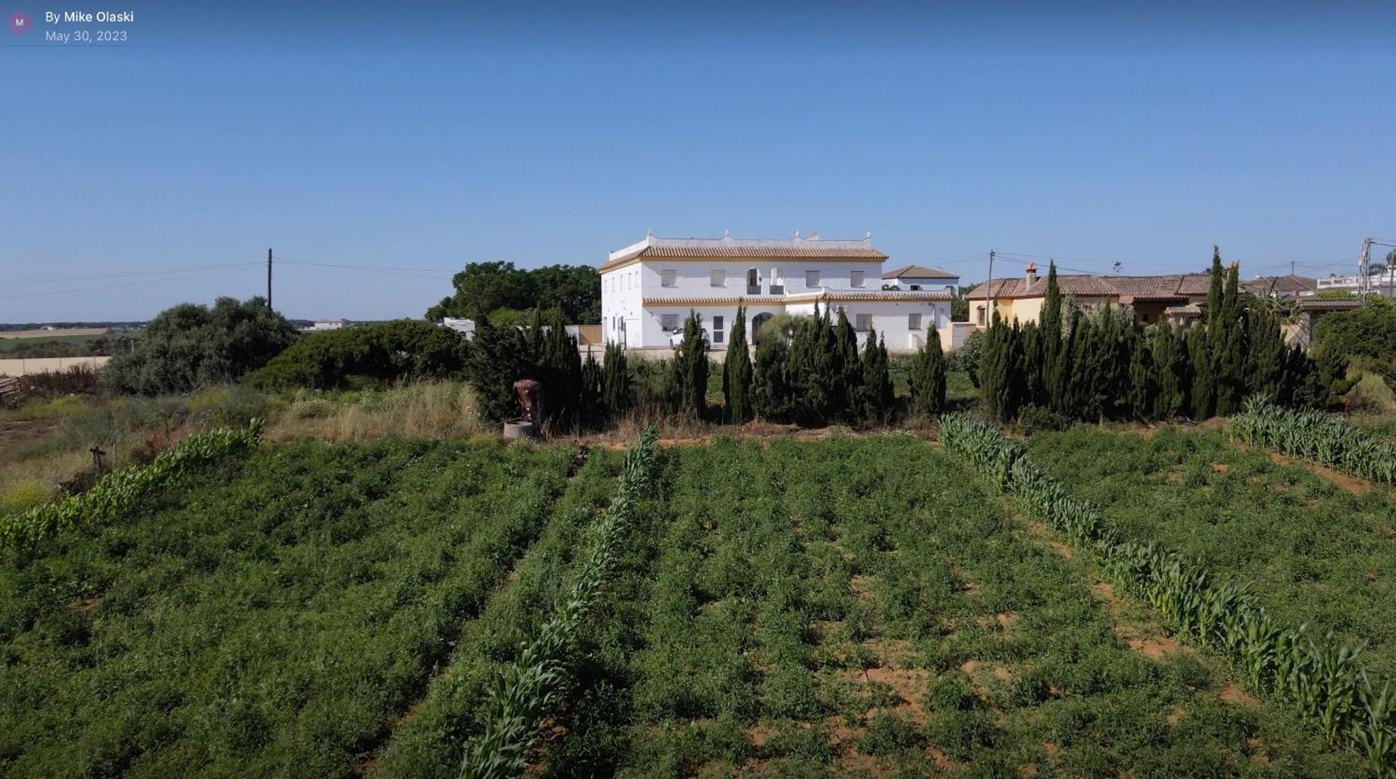 Alojamiento Rural Al'Mare Conil De La Frontera Exterior foto